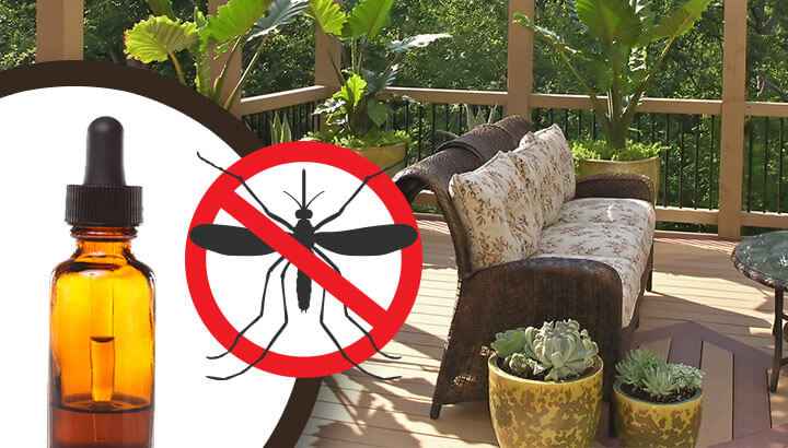 19 Ways To Keep Mosquitoes Away From Your Patio