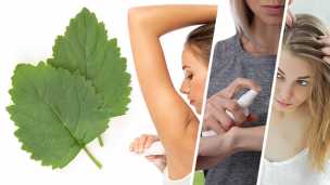 9 Benefits Of Patchouli