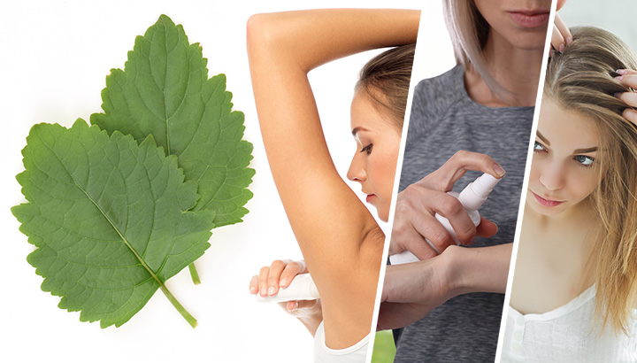 9 Benefits Of Patchouli