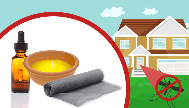 How Do You Keep Mosquitoes Away From Your House?