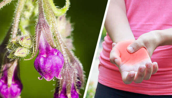 5 Health Benefits Of Comfrey