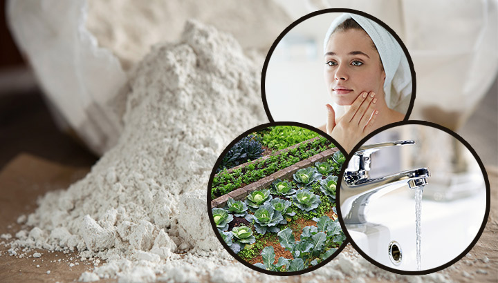 10 Ways To Use Diatomaceous Earth (And The Benefits)