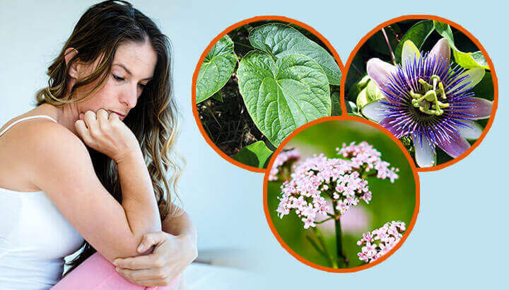 3 Plant Remedies For Anxiety
