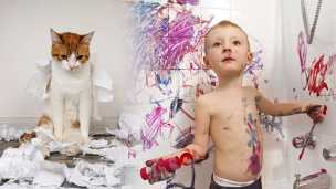 18 Ways Cats Are Like Preschoolers