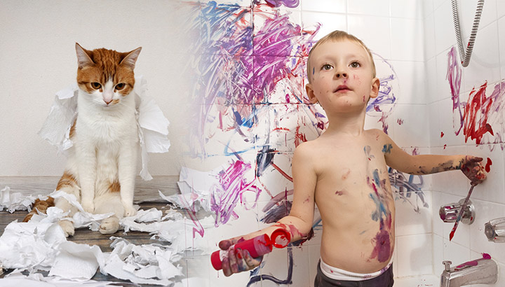 18 Ways Cats Are Like Preschoolers