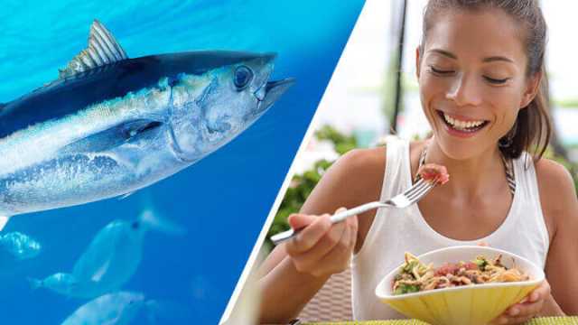 This is what's in your canned tuna