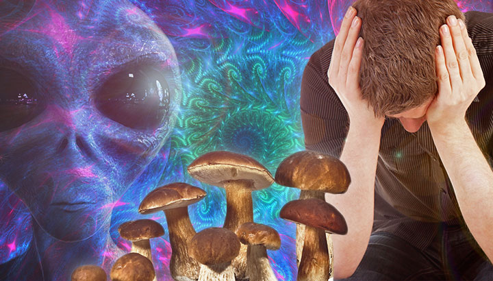 Can Psychedelics Help You Contact Aliens?