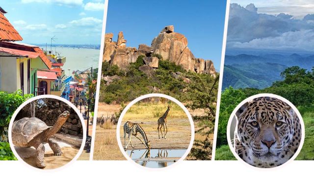 Destinations to see wildlife up close and personal