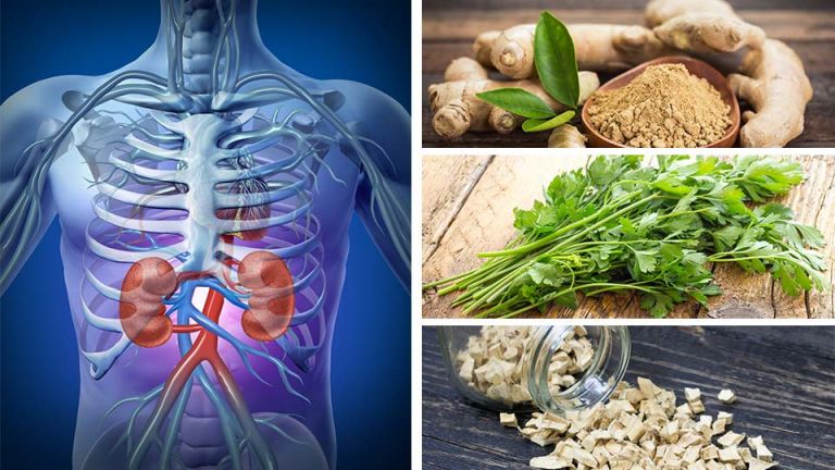 Drink THIS Every Day To Pee Out More Toxins