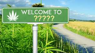 Weed Company Buys An Entire Town, What Should They Name It?