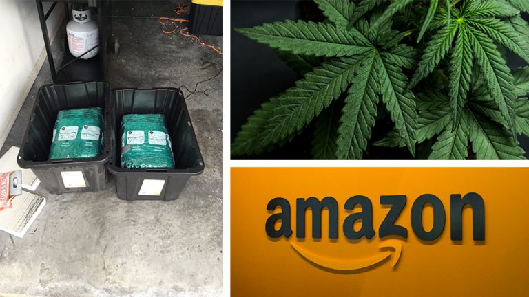 Shocked Couple Finds 65 Pounds of Marijuana In Amazon Order