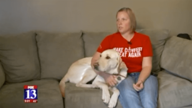 Veteran Kicked Out Of Bar Because Of Service Dog