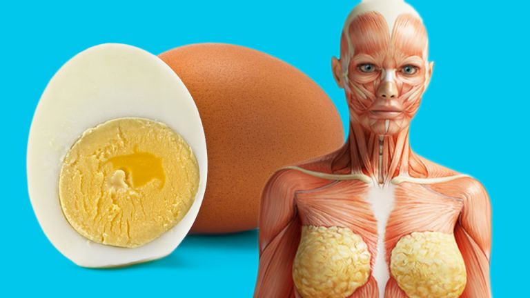 9 Things That Will Happen To Your Body After Eating Two Eggs A Day