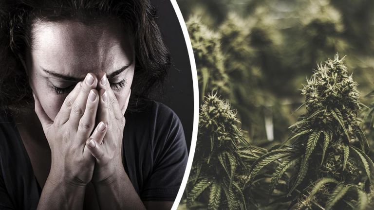 If You’re Depressed Or Anxious Right Now, Read This About Cannabis
