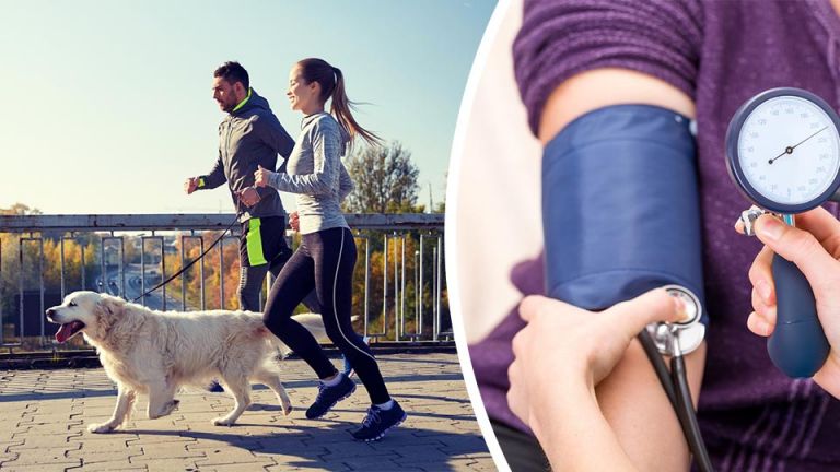 New Study: This Dog Breed Is The Best For Human Health