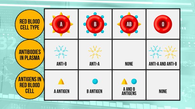 4thingsbloodtypesaysaboutyourhealth1_featured_960x540