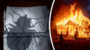 Woman Burns Down House Trying To Kill Bed Bugs (+5 Ways To Beat Them)