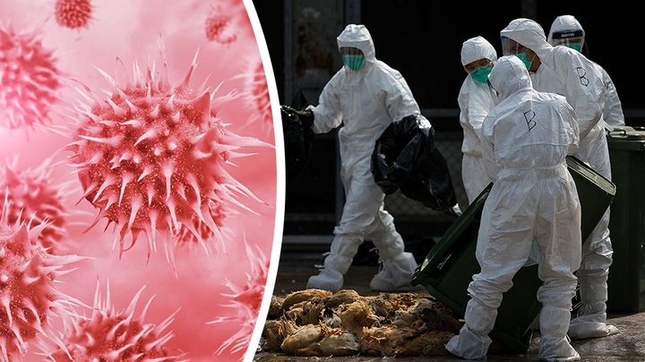 NIH Gives Labs Go Ahead To Manufacture Killer Viruses