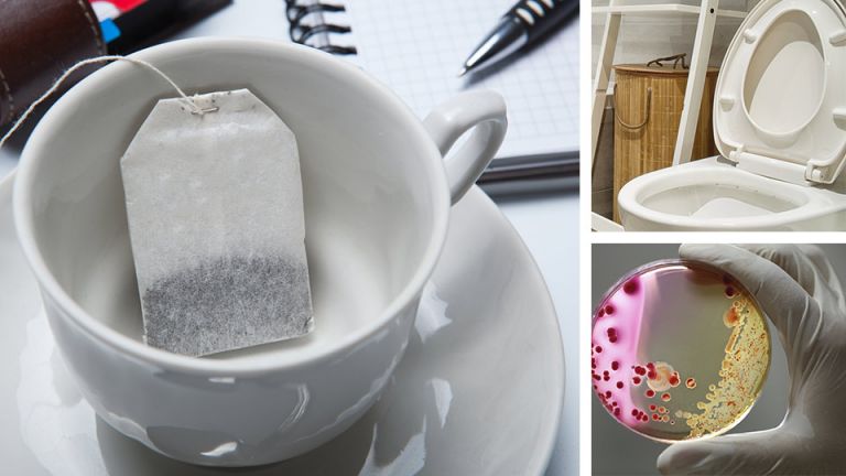 Shocking Report: Office Tea Bags Are 17X Dirtier Than Toilet Seats