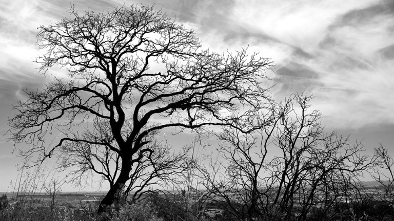 How I Survived An Entire Season Without Sun