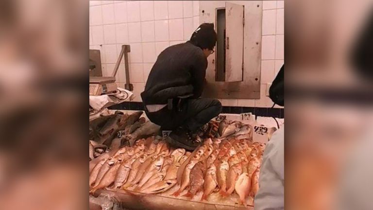 Worker Filmed Walking On Fish (Plus 5 Seafood Problems You Should Avoid)