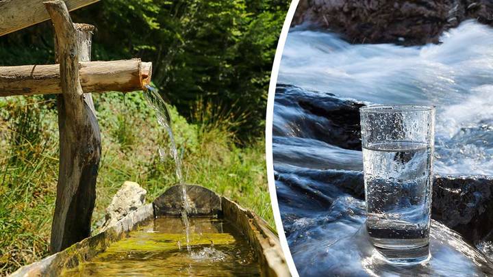 Should You Buy Into The Raw Water Craze?
