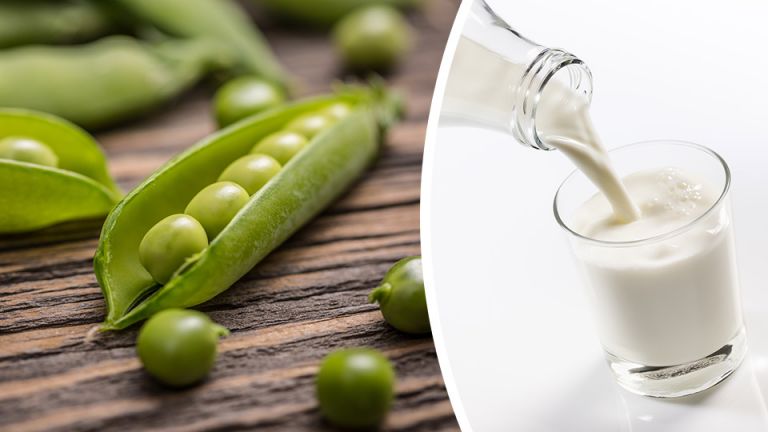 5 Reasons I Drink Pea Milk Every Day Instead Of Dairy