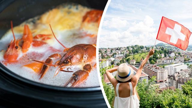 switzerlandjustmadeitillegaltoboillivelobsters_featured_960x540