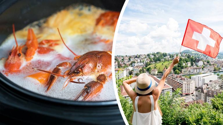 Switzerland Bans Boiling Live Lobsters, But Can They Feel Pain?