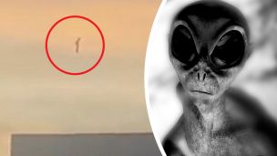 This Alien Video Is Captivating The Internet, But Is It Real?