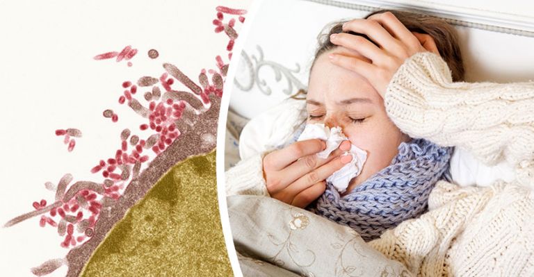 6 Ways To Avoid The Japanese Flu (And What To Do If You Get It)