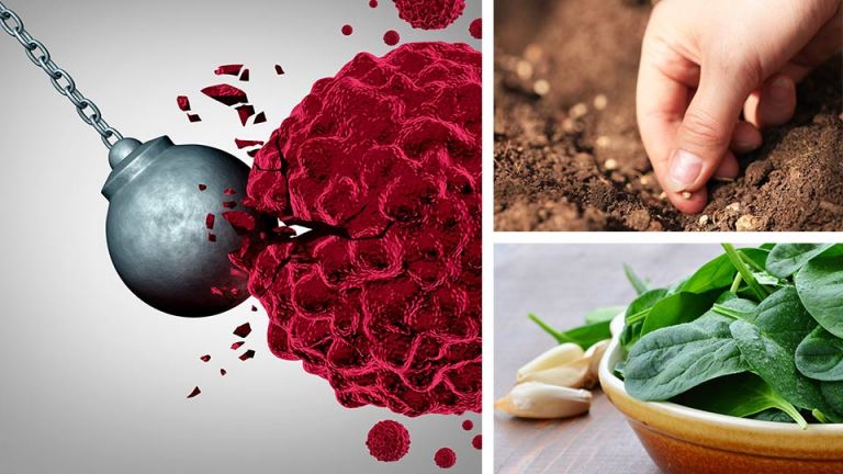 Plant These 6 Seeds In Case Of An Economic Meltdown