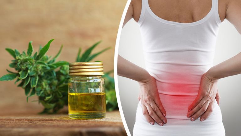 This Homemade Coconut Oil CBD Recipe Will Get Rid Of Pain Instantly