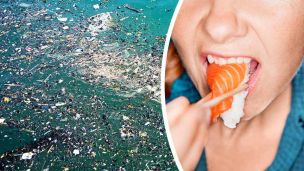 Pacific Garbage Patch Has Grown 16X — Here’s What It Means For Seafood Eaters