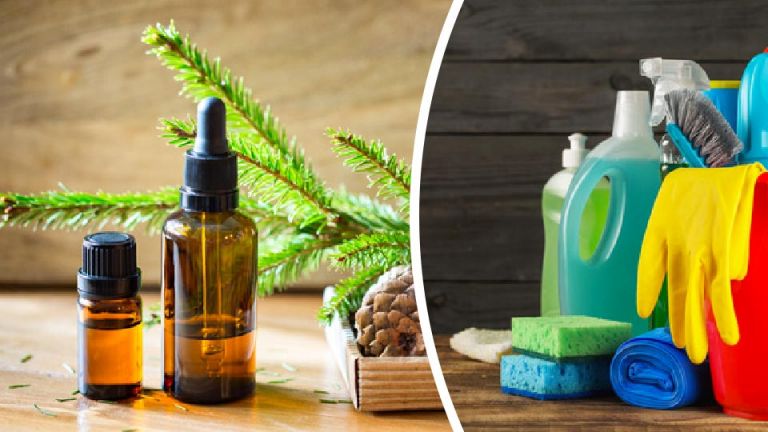 5 Best Essential Oils For Cleaning Your House (And How To Use Them)