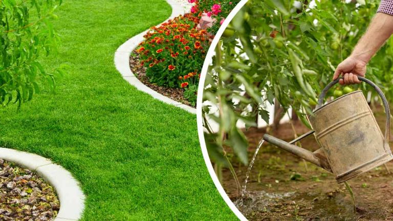6 Amazing Benefits Of Peeing In Your Yard