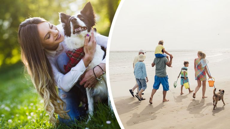 7 Amazing Things That Happen To Your Health When You Own A Dog