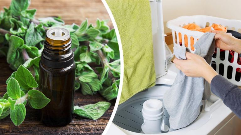 8 Ways To Clean With Oregano Oil