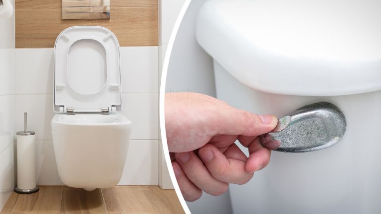 Why I Stopped Flushing My Toilet (And So Should You)