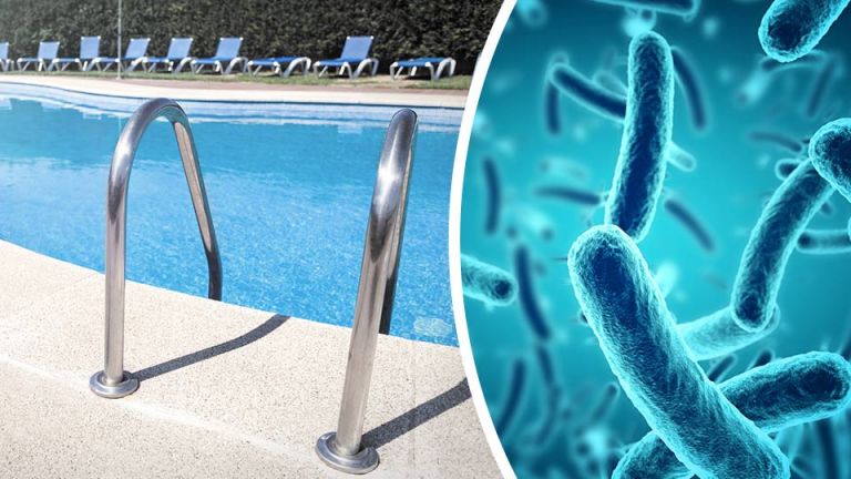 7 Things You Need To Know Before Swimming In A Public Pool This Summer