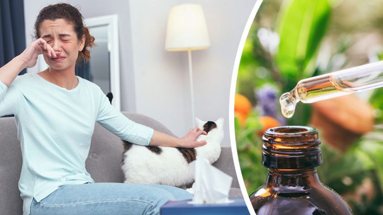 Suffering From Pet Allergies? Find Relief With These 7 Remedies