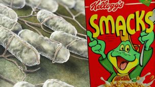 Caution: 73 Salmonella Cases Came From This Kellogg’s Cereal