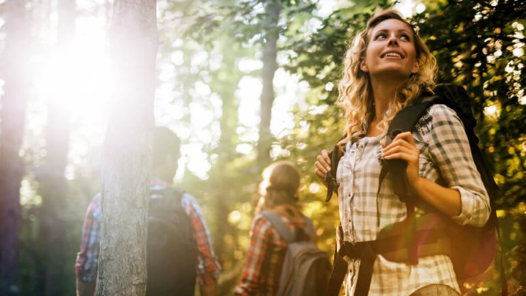 5 Benefits Of Forest Bathing