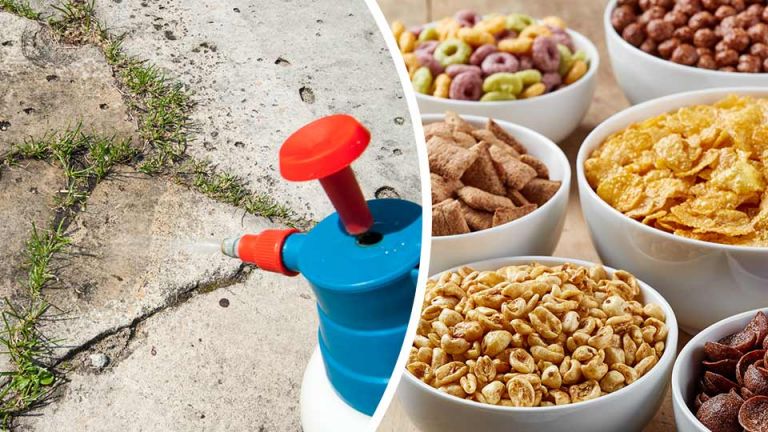Is Weed Killer In Your Cereal? Here’s What You Need To Know