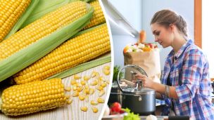 New Study: Processed Corn Loses Its Cancer-Fighting Properties