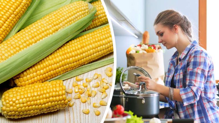 New Study: Processed Corn Loses Its Cancer-Fighting Properties