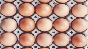 2018 Food Recall Review and 2019 Roundup: What You Need to Know