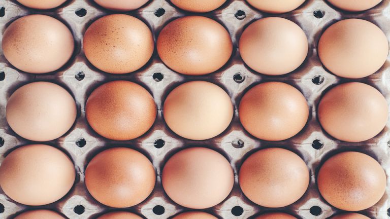 2018 Food Recall Review and 2019 Roundup: What You Need to Know