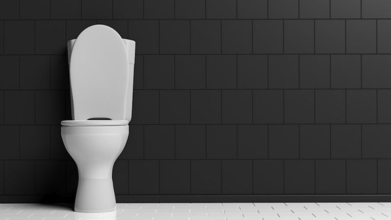 7 Really Strange Things People Have Found in a Toilet