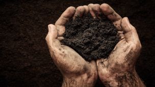 What Researchers Found in Dirt Could Bust Stress